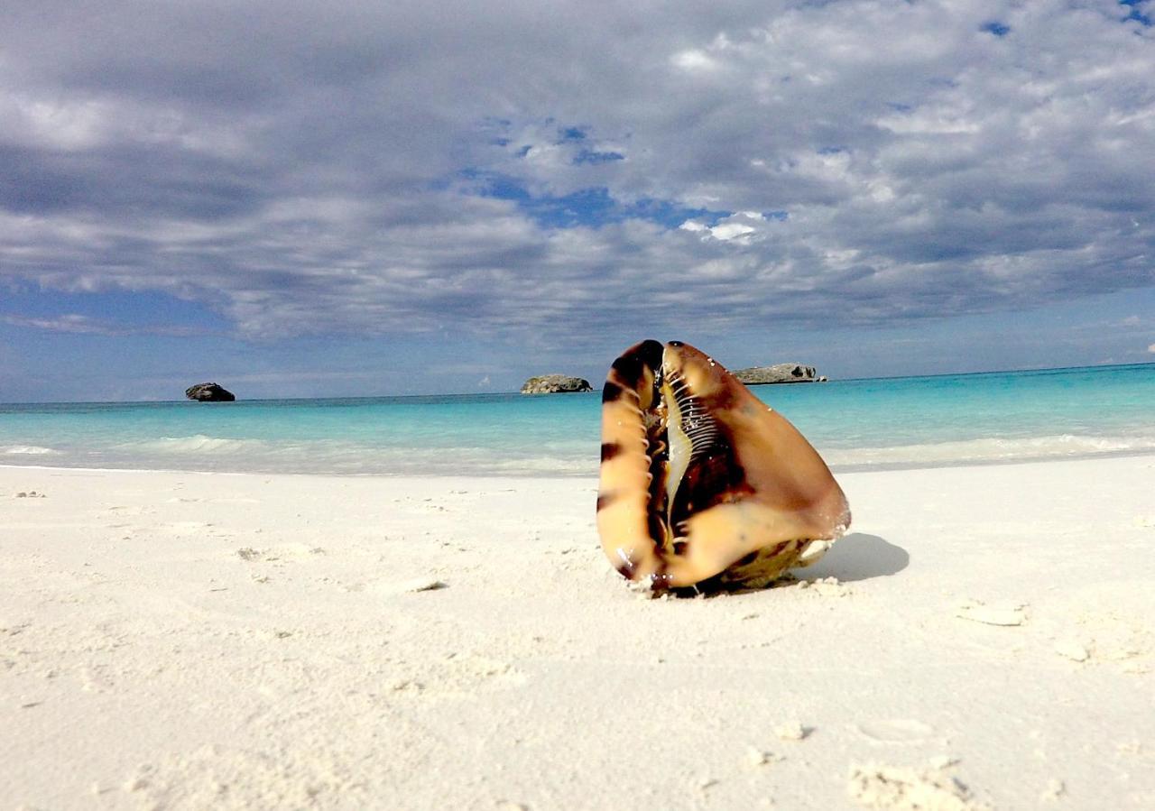 Turtles Nest Bahamas George Town Exterior foto