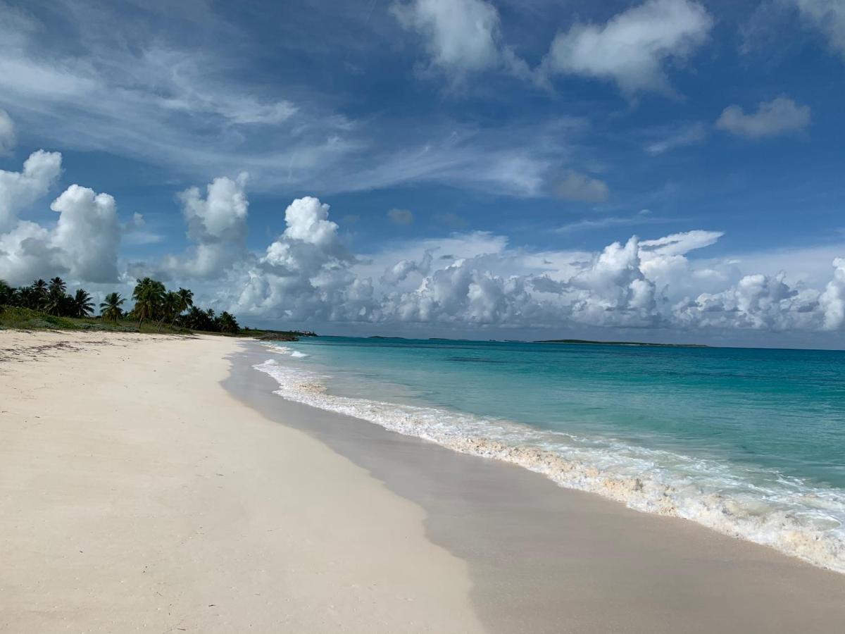 Turtles Nest Bahamas George Town Exterior foto