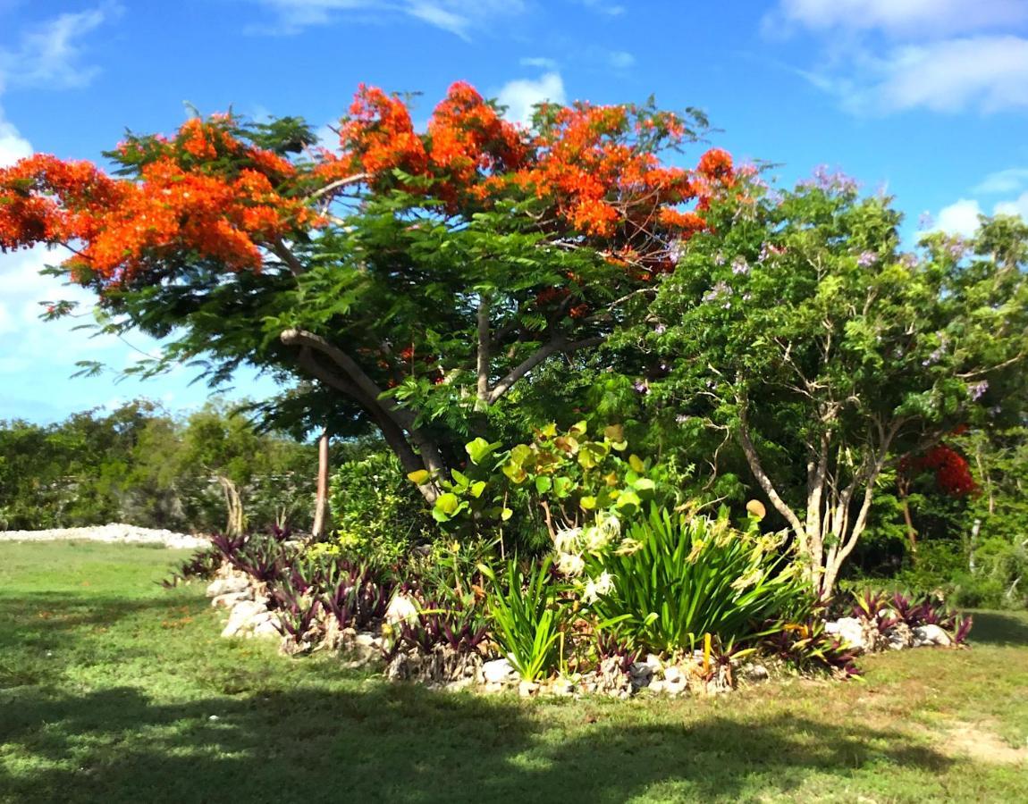 Turtles Nest Bahamas George Town Exterior foto